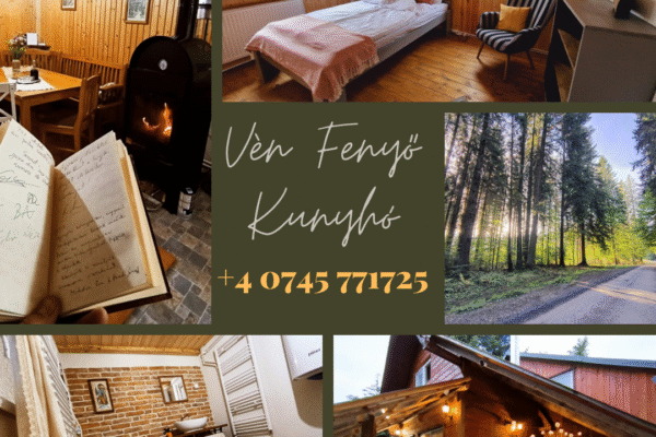 Green Minimalist Photo Collage Instagram Post 2 Green Minimalist Photo Collage Instagram Post 2