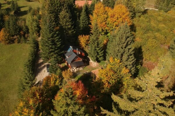 WhatsApp Image 2025-05-10 at 16.37.54 WhatsApp Image 2025-05-10 at 16.37.54