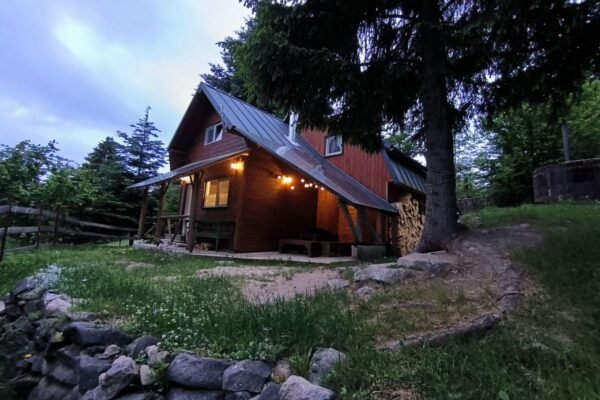 WhatsApp-kép, 2024-09-01, 13.02.58_1acb5dd1 WhatsApp-kép, 2024-09-01, 13.02.58_1acb5dd1