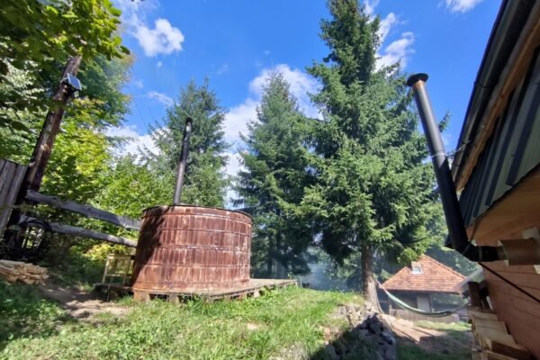 WhatsApp-kép, 2024-09-01, 14.28.22_53d6f87b WhatsApp-kép, 2024-09-01, 14.28.22_53d6f87b